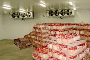 apple-cold-room