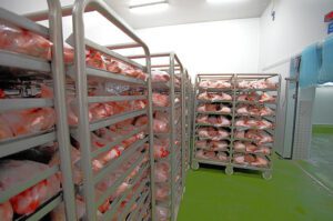 chicken-cold-room