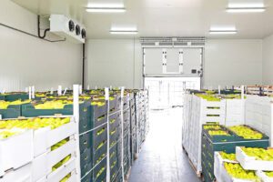 fruit-cold-room-1