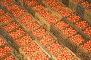 orange storage