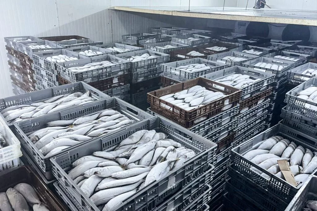 seafood-freezer-room