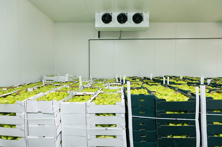 buah ruangan cold storage
