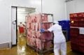 Cold-Storage-for-meat