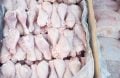 chicken blast freezer room