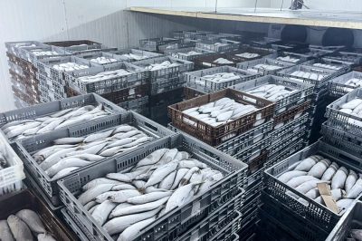 seafood-freezer-room