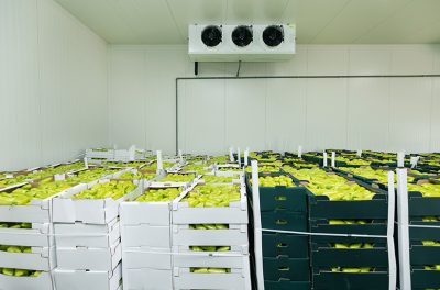 buah ruangan cold storage